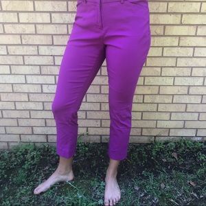 Purple Worthington Slim Fit Crop Dress Pants